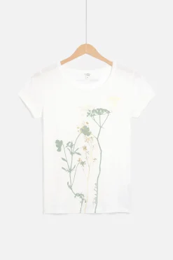 T-Shirt Maxine Ivoire Femme*CAROLL Cheap